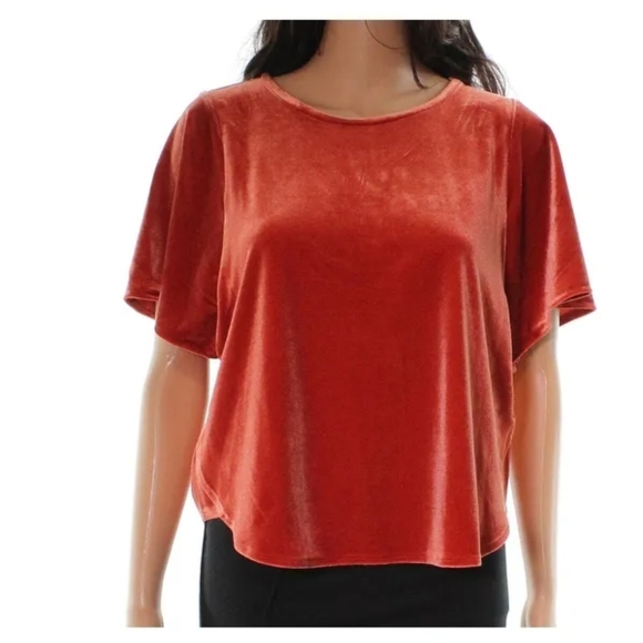 NWT MADEWELL BURNT ORANGE VELVET BUTTERFLY SLEEVE TOP M - Picture 2 of 7